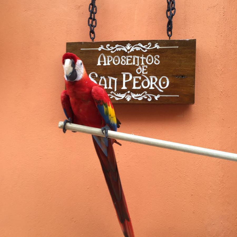 Cartagena Aposentos De San Pedro酒店 外观 照片